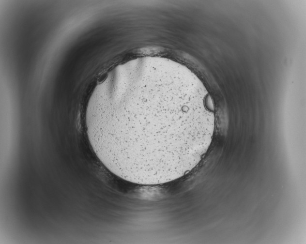 X0000103220762200809181503