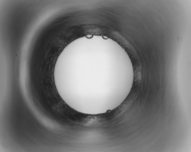 X0000103220764200809181503