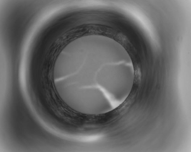 X0000103220765200809181503