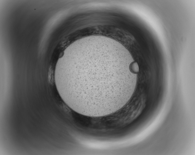 X0000103220766200809181503