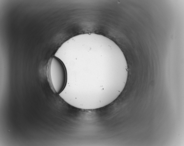 X0000103220768200809181503