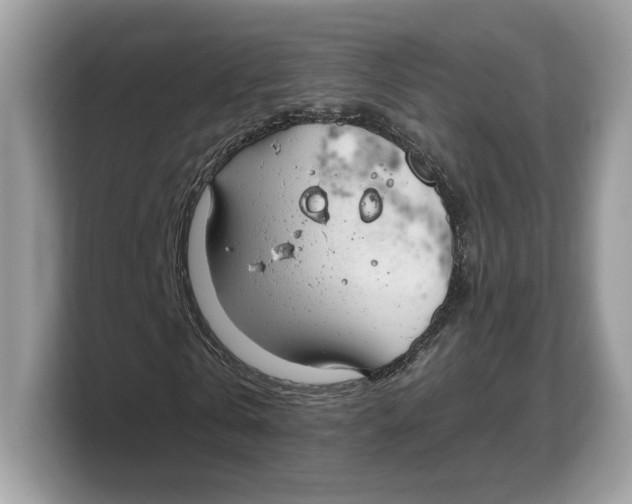 X0000103220769200809181503