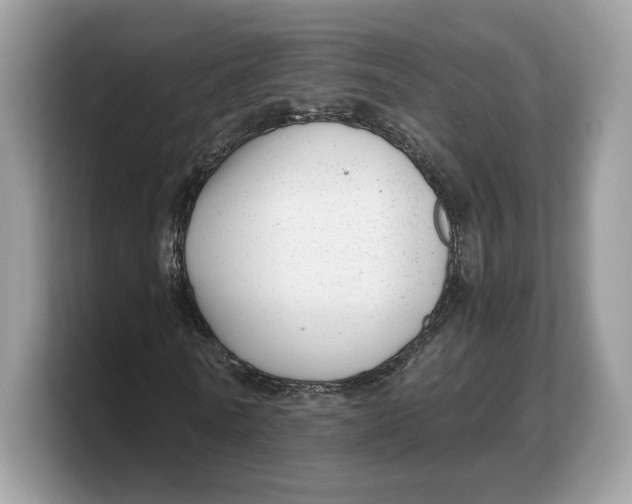 X0000103220770200809181503