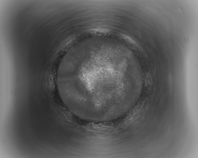 X0000103220774200809181503