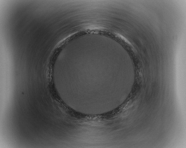 X0000103220775200809181503