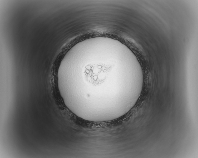 X0000103220776200809181503