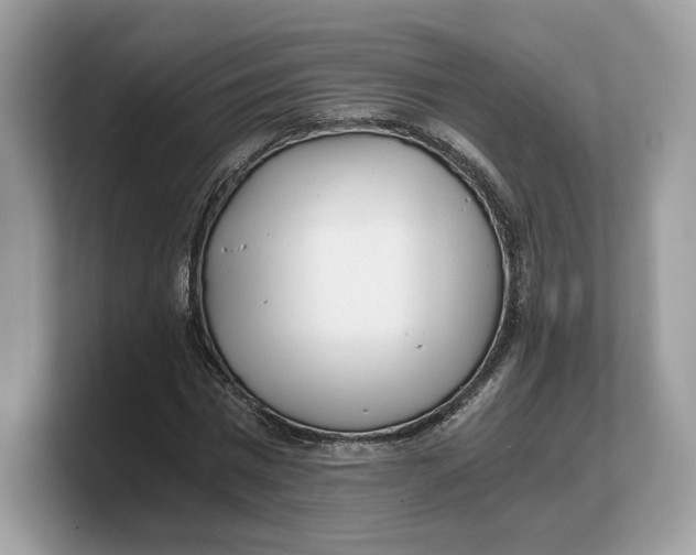 X0000103220777200809181503