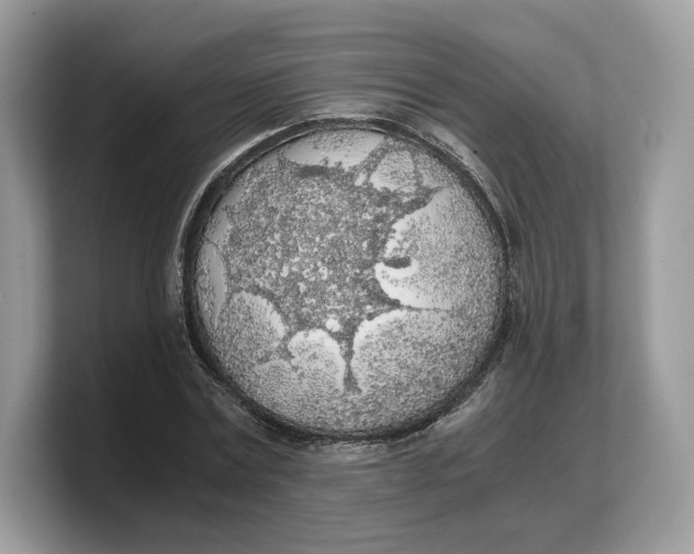 X0000103220779200809181503