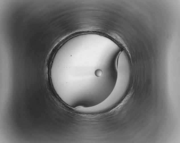 X0000103220781200809181503