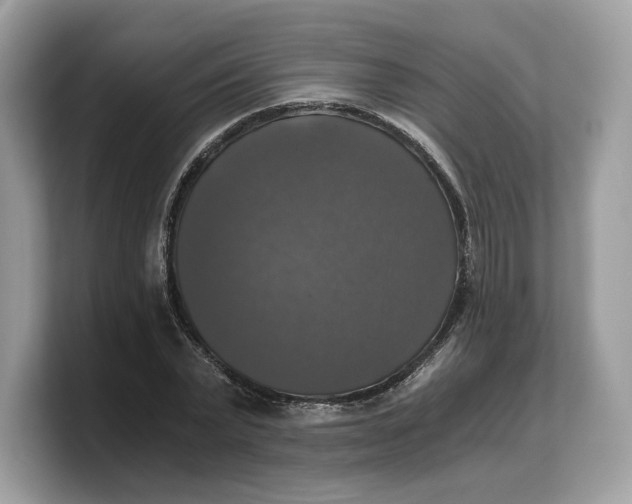 X0000103220783200809181503