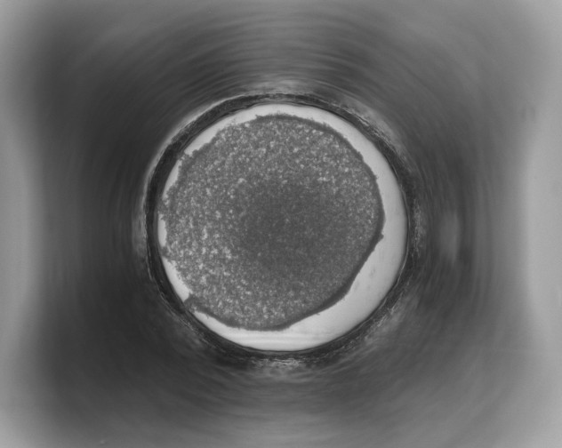 X0000103220784200809181503