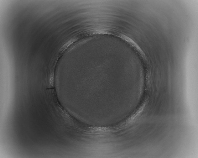 X0000103220785200809181503