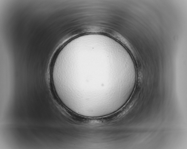 X0000103220787200809181503