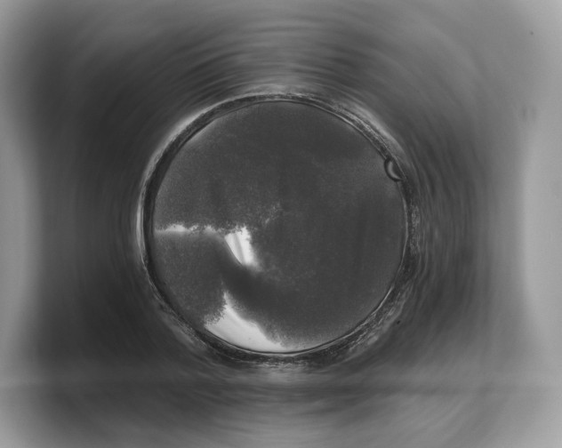 X0000103220788200809181503