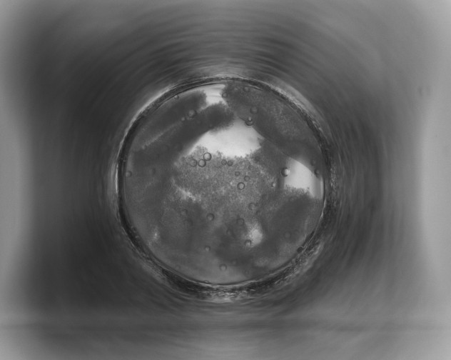 X0000103220790200809181503