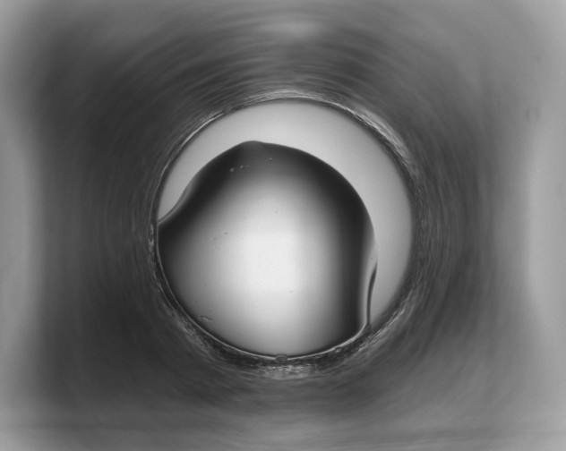 X0000103220793200809181502