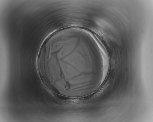 X0000103220798200809181502