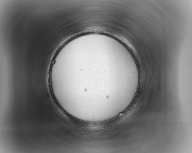 X0000103220799200809181502