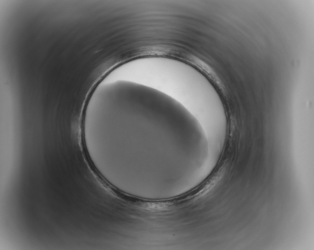 X0000103220802200809181502