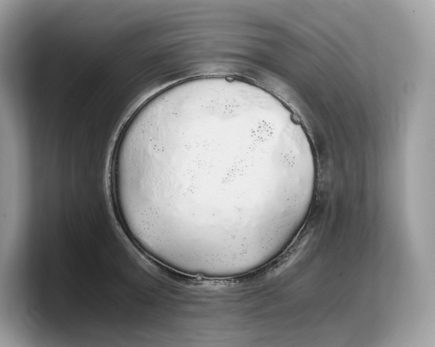 X0000103220803200809181502