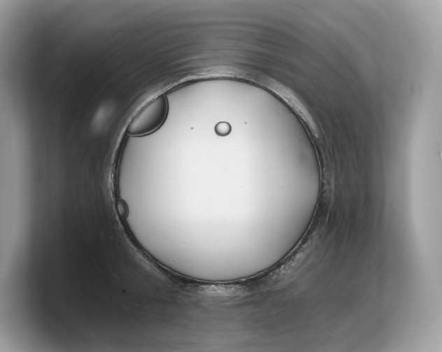 X0000103220805200809181502