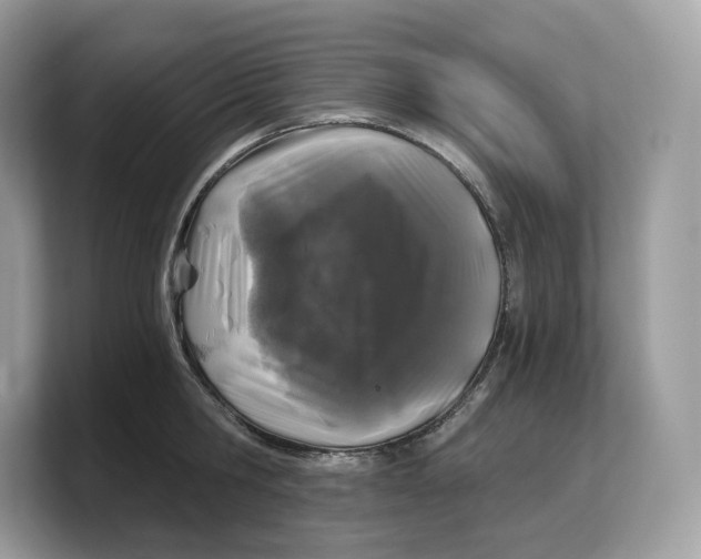 X0000103220806200809181502