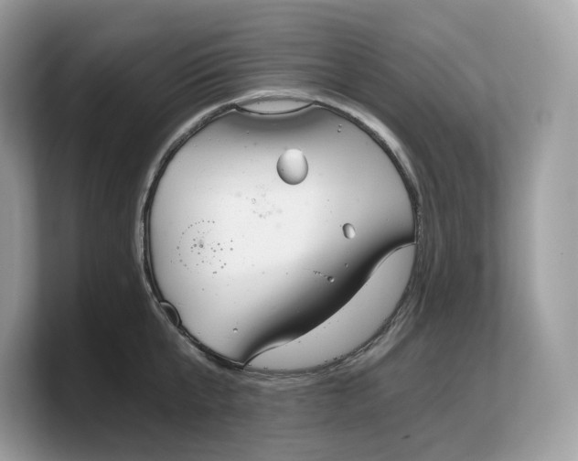 X0000103220807200809181502