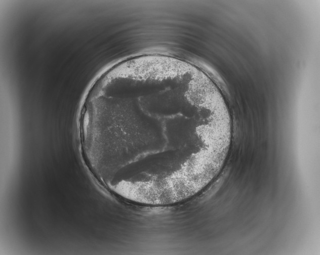 X0000103220808200809181502