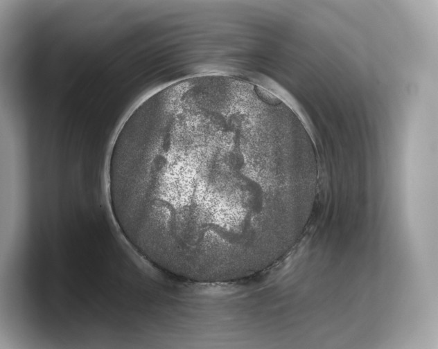 X0000103220811200809181502