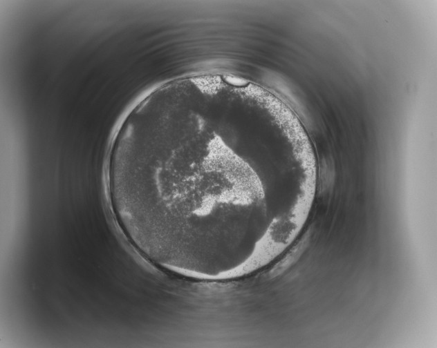 X0000103220812200809181502