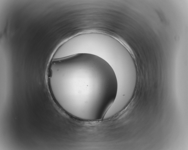 X0000103220813200809181502