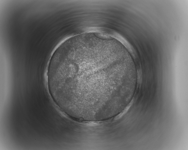 X0000103220814200809181502