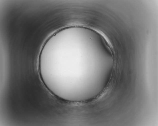 X0000103220815200809181502