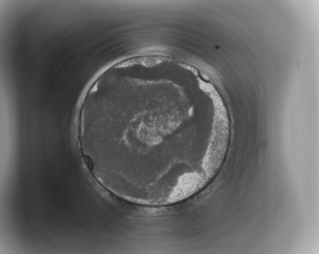 X0000103220816200809181502