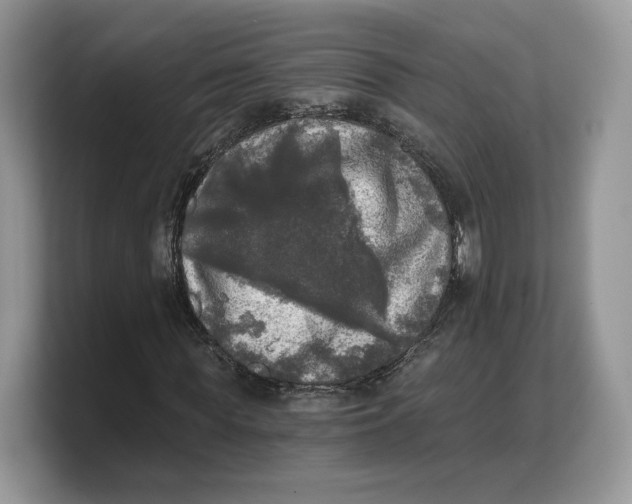 X0000103220819200809181502