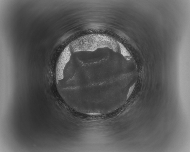 X0000103220822200809181502