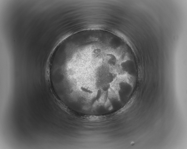 X0000103220827200809181502