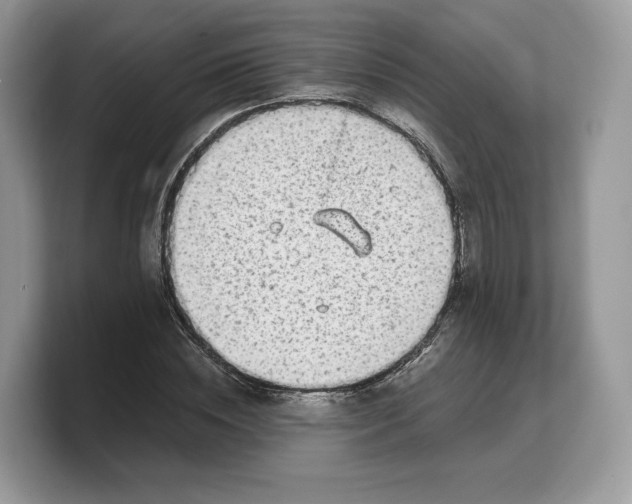 X0000103220828200809181502