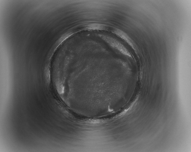 X0000103220829200809181502