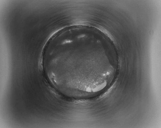 X0000103220830200809181502