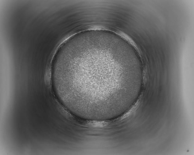 X0000103220831200809181502