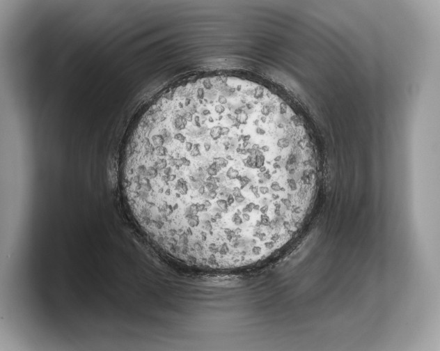 X0000103220833200809181502