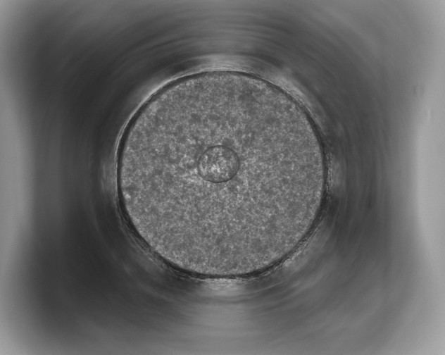 X0000103220836200809181502