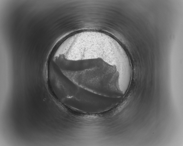 X0000103220838200809181502