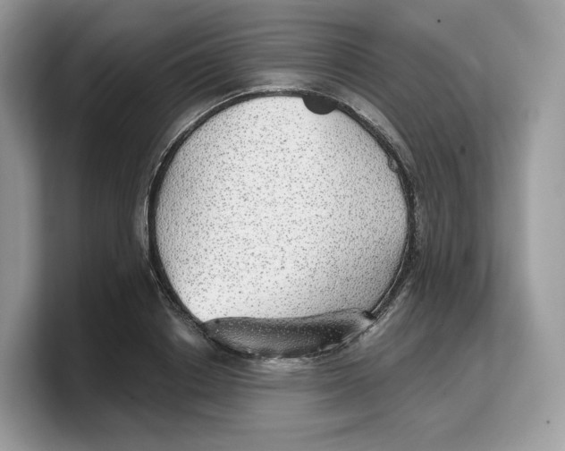 X0000103220842200809181502