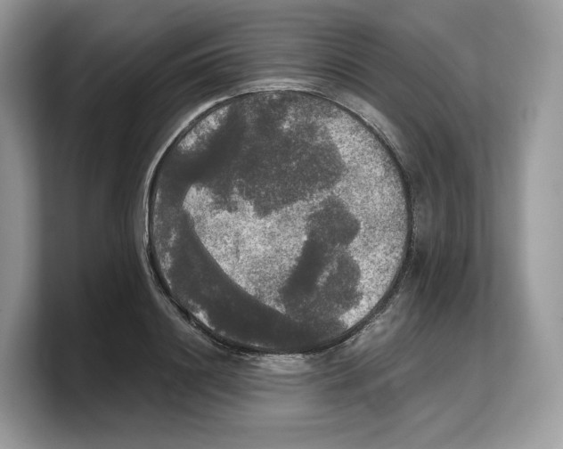 X0000103220844200809181502