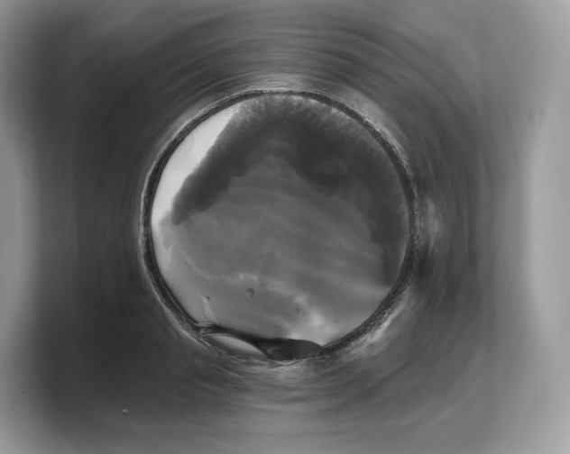 X0000103220845200809181502