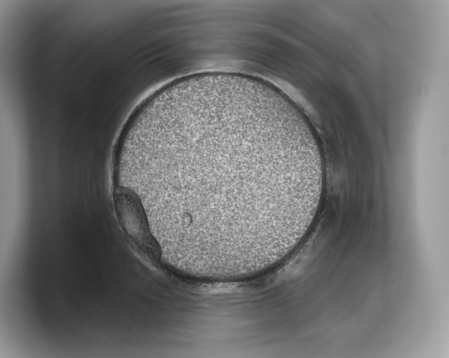 X0000103220846200809181502