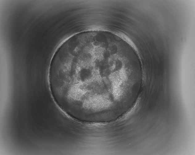 X0000103220847200809181502