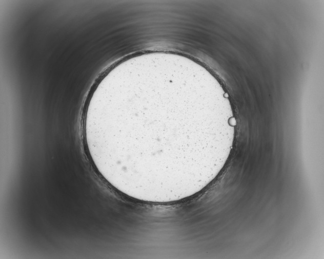 X0000103220848200809181502